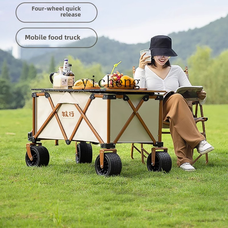 Carrito de camping XL plegable - Pull Cart Fold reseña y precio