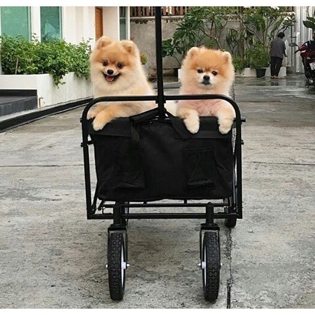 Carrito Plegable con Manija de - Pull Cart Fold reseña y precio